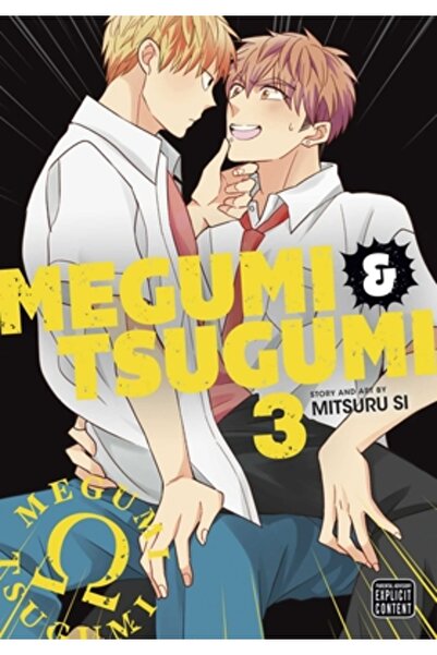 Viz LLC Megumi & Tsugumi, Vol. 3