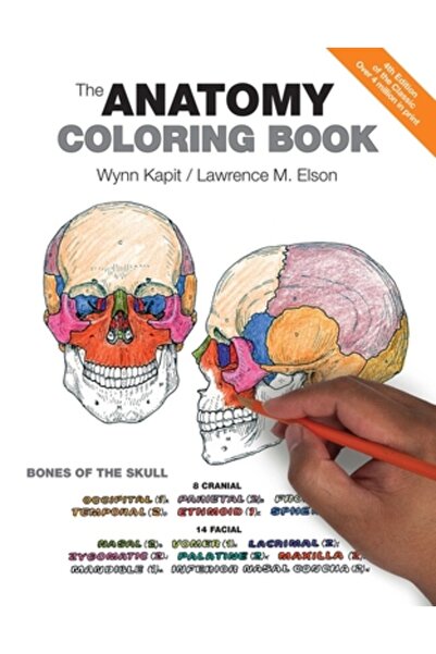 Cummings Cartea de colorat de anatomie