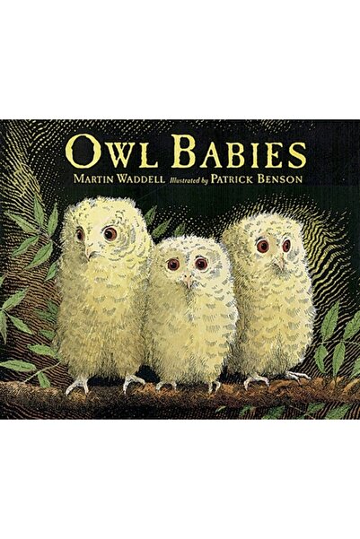 Candlewick Press (Ma) Puii de bufniță