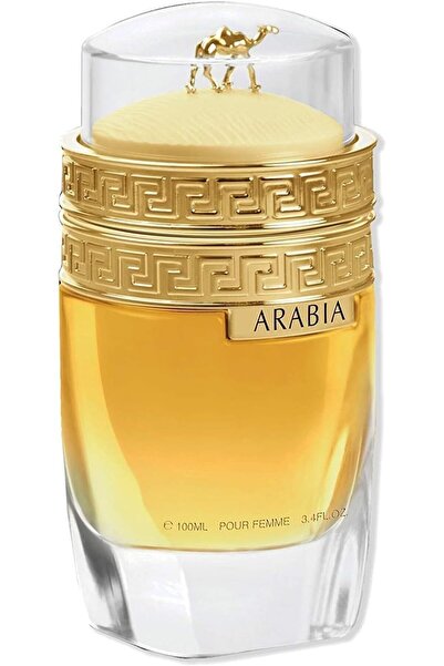 Amber لو شامو أرابيا للنساء أو دي بارفان 100 مل
