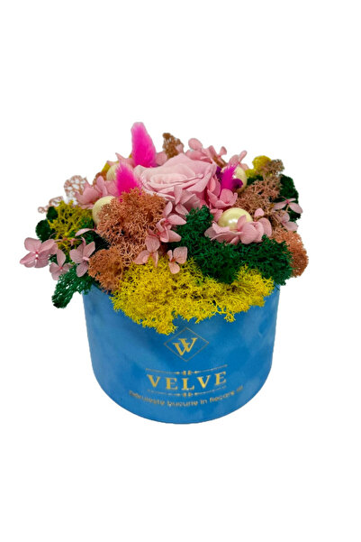 velve Aranjament floral Crio, licheni naturali stabilizati, hortensii criogen...