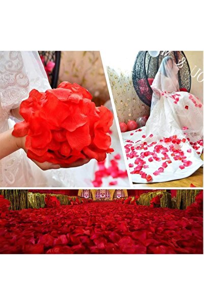 avensyy Kırmızı Renk Gül Yaprağı Şekilli Konfeti – 5 Paket 500 Adet