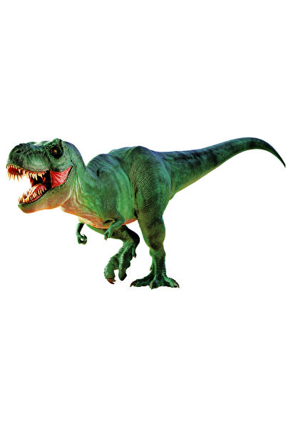 NATIONAL GEOGRAPHIC Natgeo Dino Excavation Kit Nat06002