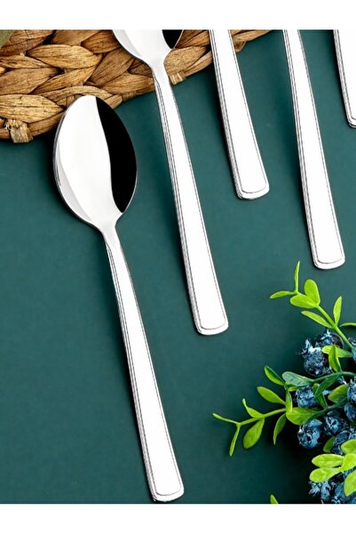Cooker 6-Piece Milas Stainless Steel Dessert Spoon Set