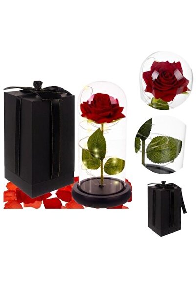 Manolex Trandafir etern cu LED în cupolă de sticlă, bază din lemn, ambalaj premium,