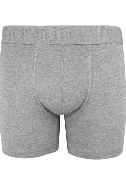 FORMO 2-Pack Flexible Cotton Boxer Gray Men's Boxer
