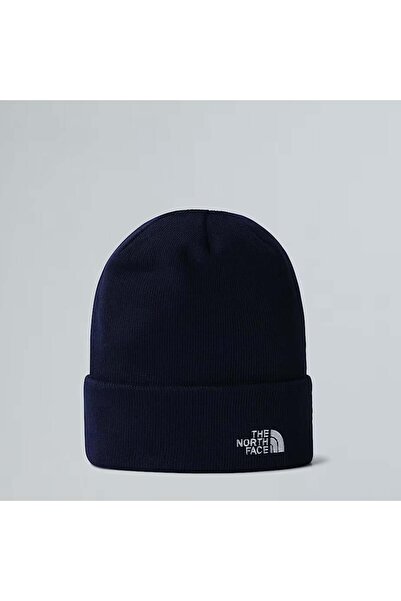 THE NORTH FACE Норм Біні Юнісекс Бере