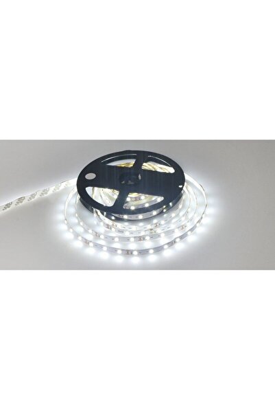 Dali Indoor LED strip, 60 LED/m, 12V, cold white light, 5m length