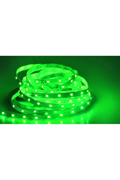 Dali Indoor LED strip, 60 LED/m, 12V, green light, 5m length