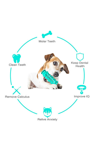 eR D L Jucărie de dentiție pentru câini, albastră,