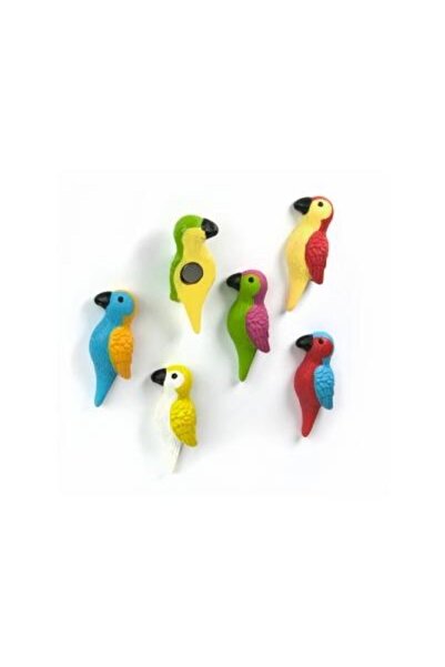 Predas Magnet PARROT (6 buc set)
