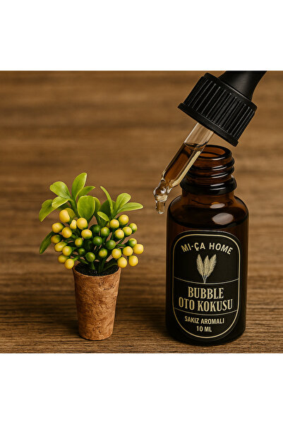 Mi-ÇA HOME Araba Koku Seti | Klimaya Takılan Mini Saksı Çiçek Havalandırma Süsü| 10ml Sakız Kokulu Parfüm