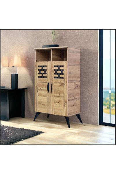 DEC49 Modern two-door shoe cabinet with a distinctive design