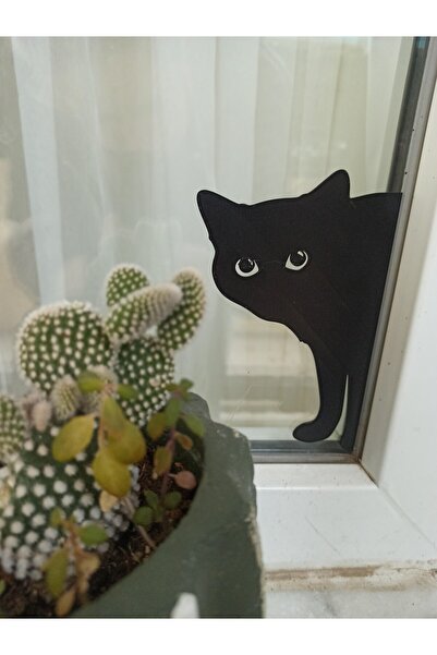 NADO DEKOR 4 Adet Kedi Cam & Duvar Dekorasyon Ürünü