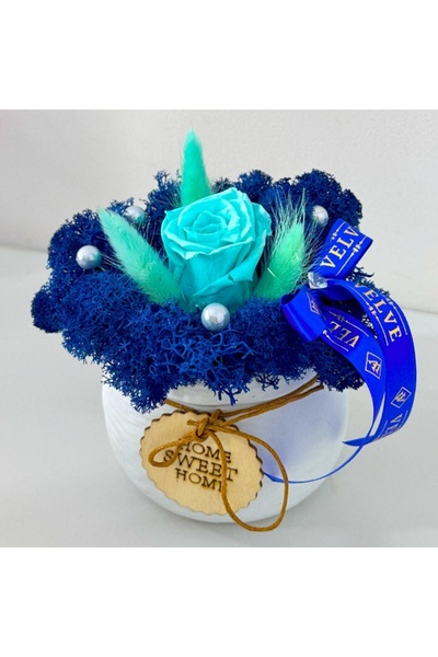 velve Home floral arrangement, in ceramic vase with cryogenic rose, stabilized lichens, Blue, 14 cm