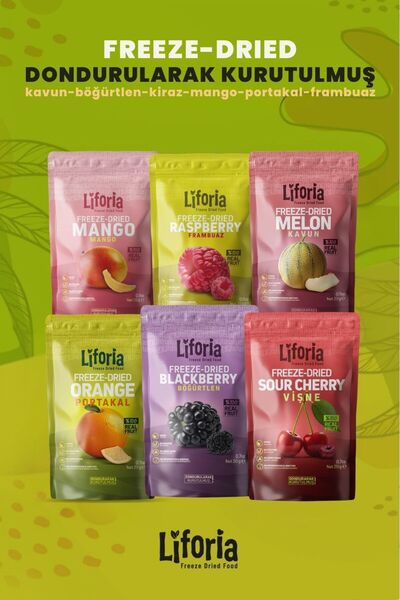 Liforia 6 عبوات من الفواكه المجمدة - وجبة خفيفة صحية - توت العليق والبرتقال والمانجو والتوت الأسود والتوت الأحمر والبطيخ