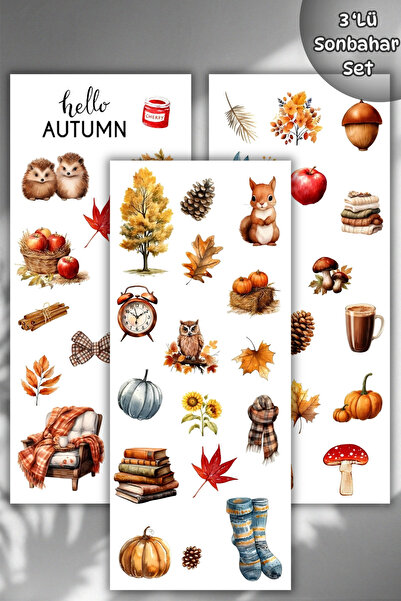 birikiyedi 3 'Lü Sonbahar Temalı Sticker Seti Ajanda, Defter, Planlayıcı,Bull...