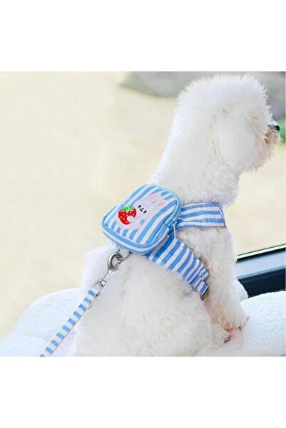Nirnisa L Beden Çantalı Kedi Göğüs Tasma Seti Küçük Irk Köpek Gezdirme Kayışı Yürüyüş Tasması Kayış 120 cm