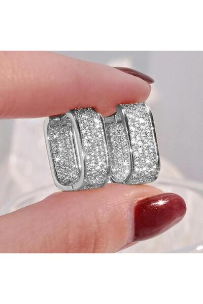 Pursehuit Cercei de culoare argintie, cu pietre de zirconiu, Adolf C16