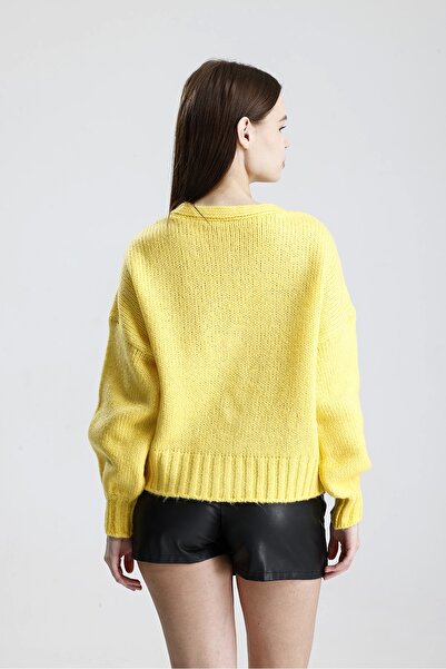 Lusin Women's Yellow Stylish Gray Knitwear Cardigan with Rose Detail