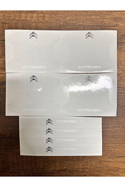 Sm Motors KAPI KOLU ÇİZİK ÖNLEYİCİ PPF KAPLAMA CİTROEN