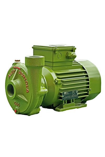 AlemBertola ALEM BERTOLA C40 Bahçe Su Pompası 1 Hp 220 Volt Monofaze