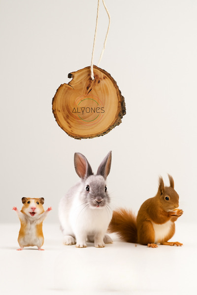 Alyones Doğal Ahşap Kemirme Oyuncağı – Hamster ve Tavşanlar için Sağlıklı ve ...