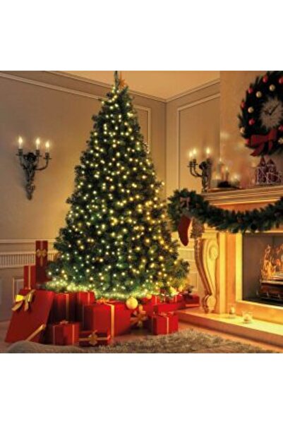 Mercaton String Lights 50 LEDs Warm White Powered by Mains 5m 8 Modes