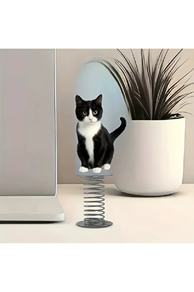 Cat Flat Black and White Cat Acrylic Upgraded Car Dashboard Decoration, Office Desk Ornament (2D Not 3D)
