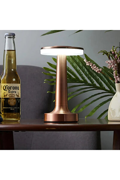 ETRONIK Copper Cylindrical LED Night Lamp, Desk & Table Lamp Bedroom Living Room with 3-Color Touch Control