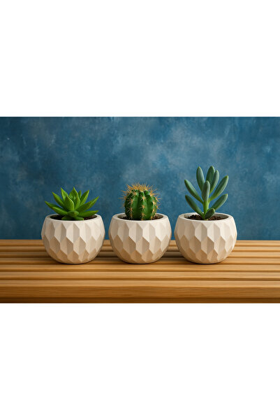 Omerella 3 lü Yuvarlak Prizma Kaktüs Sukulent Saksı