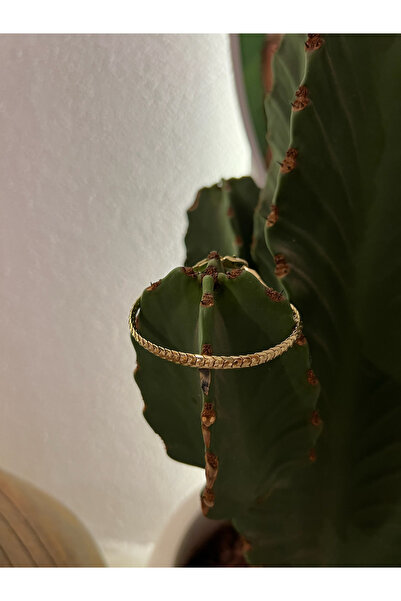 eranora SAGE & Co. Nova Gold Balık Sırtı Altın Kaplama Vip Çelik Bileklik