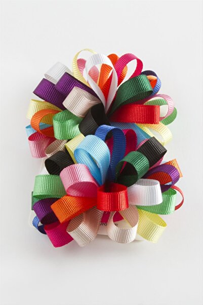 CT STONES مشبك شريط زهري 2 قطعة