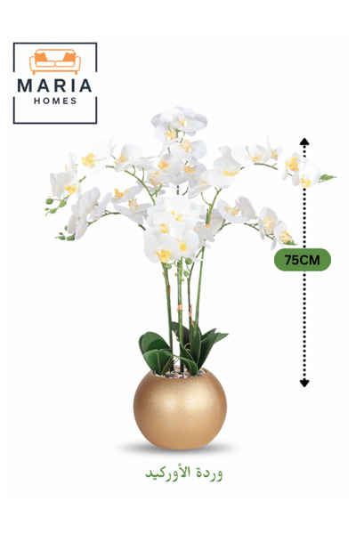 MARIA HOMES Artificial White Orchid 75 cm – 6-Stem Flower with Elegant Golden Round Pot