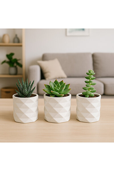 LalezarHome 3’lü Beyaz Prizma Saksı Sukulent Seti | Dekoratif Çiçek Aranjmanı - Salon & Ofis Dekoru(çiçeksiz)