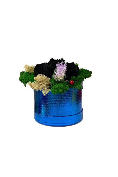 velve Aranjament Floral Midnight Dream cu 3 trandafiri criogenati pe pat de licheni stabilizati, Albastru