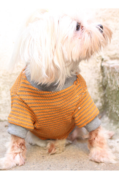 petite pati Hardal Rengi Köpek Kazak – Sıcak Tutan Şık Kışlık Evcil Hayvan Giysisi