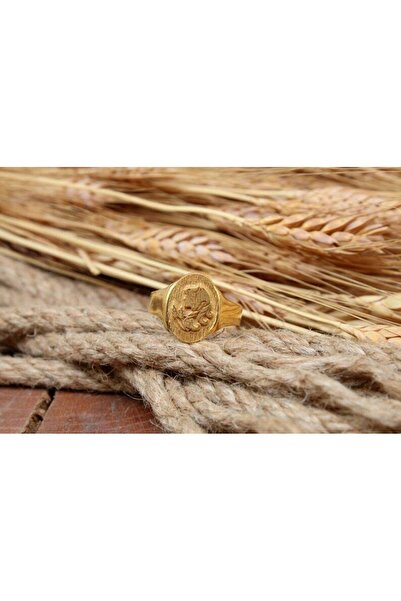 alpsilverart Başak Burcu Gümüş Yüzük 925 Ayar Altın Kaplama | Unisex Gösterişli Astroloji Burç Takı Hediye