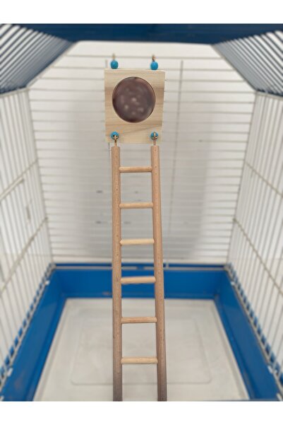 Wooden Bird Wooden Bird Ladder with Mirror (6 Steps-Natural Wood)