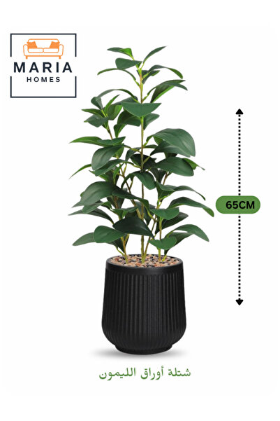 MARIA HOMES نبات الليمون الأخضر الاصطناعي 65 سم – نبات داخلي صغير مزخرف في وع...