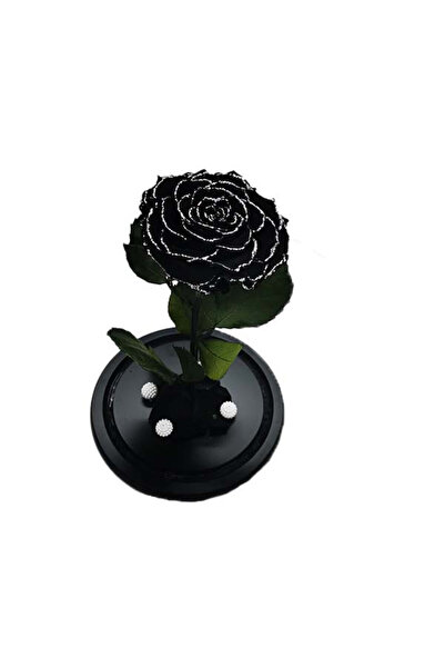 velve Trandafir Criogenat cu accesorii, blat negru, pe pat de petale, Negru, Model 6