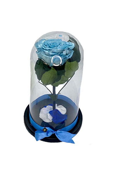 velve Trandafir Criogenat cu accesorii, blat negru, pe pat de petale, blue, Bleu, Model 3