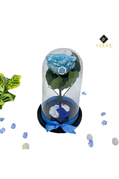 velve Trandafir Criogenat cu accesorii, blat negru, pe pat de petale, blue, Bleu, Model 3