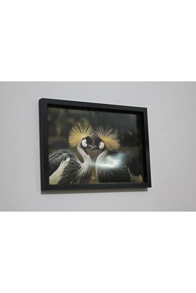 LİFE GLOBAL Picture Frame Black 20X30 Single Piece with Picture and Pvc Protection