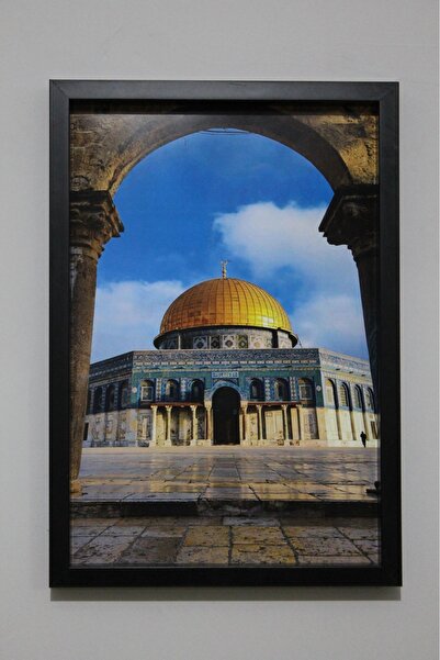 LİFE GLOBAL Picture Frame Black 20X30 Single Piece with Picture and Pvc Protection