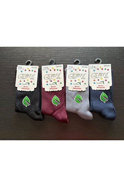 DRESSY LIFE 4-Piece Bamboo Boy Socks (Toe Is Stitch-Free Inches)