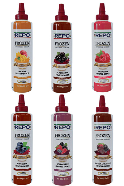 Repo Meyveli Sos 6'lı set(Mango ,Orman Meyveli ,Karadut ,Böğürtlen ,Frambuaz ,Yaban Mersini)