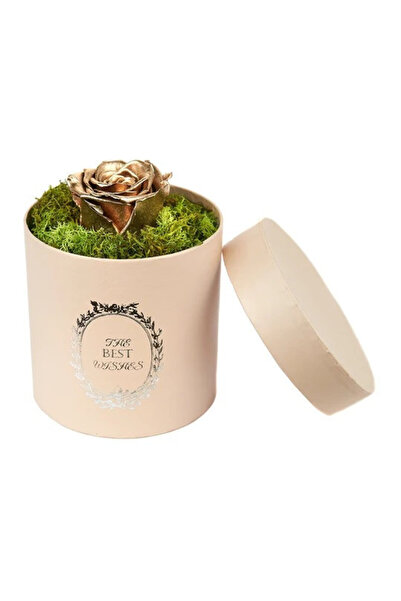 velve Trandafir criogenat Pretty in Pink decorat in cutie rotunda cu licheni ...