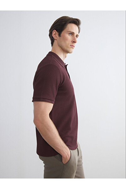 LC Waikiki LCW VisionBordo Polo Yaka Erkek Tişört
