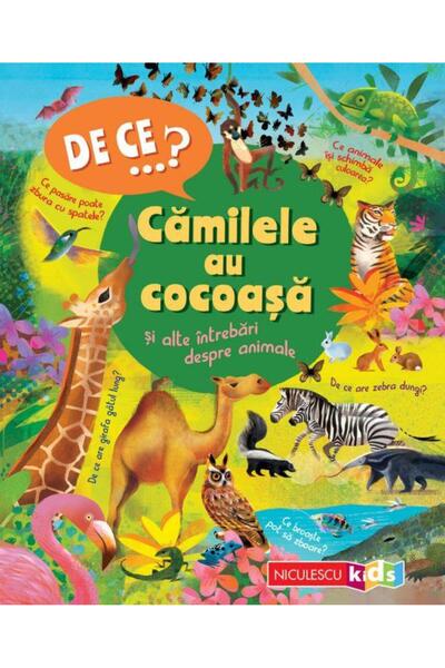 Editura Niculescu DE CEâ¦? Camilele au cocoasa si alte intrebari